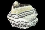 Free-Standing, Banded Zebra Calcite - Mexico #155771-1